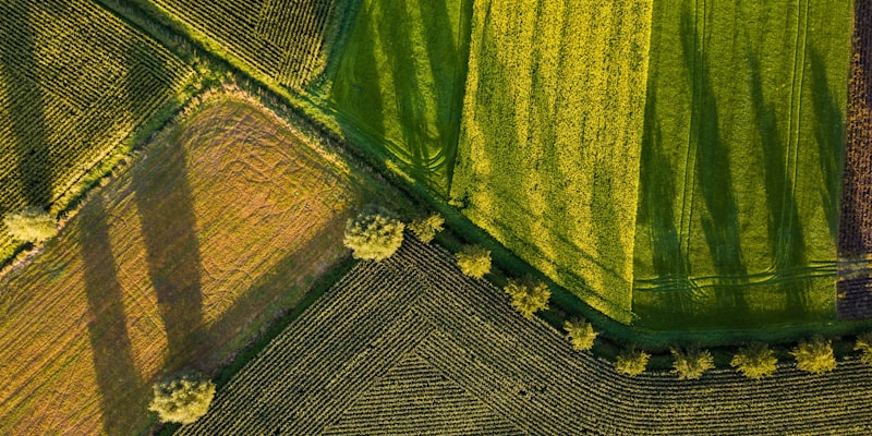Agriculture and Allied exhibition