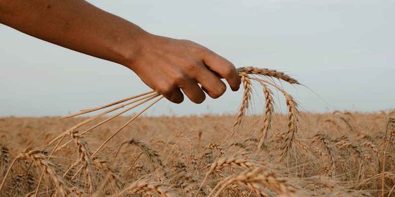 Agriculture and Allied exhibition