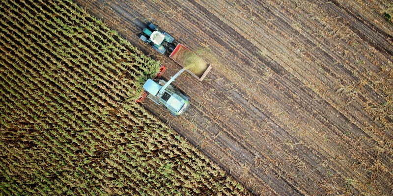 Agriculture and Allied exhibition