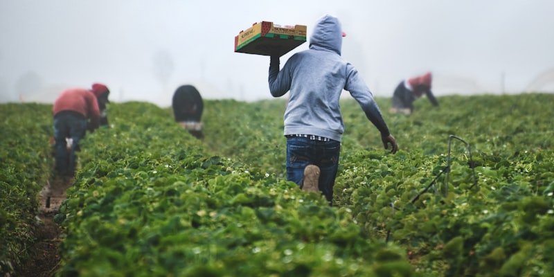 Agriculture and Allied exhibition