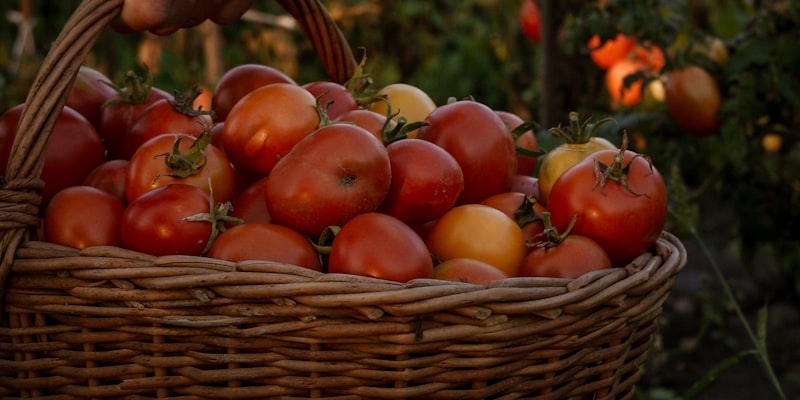Agriculture and Allied exhibition